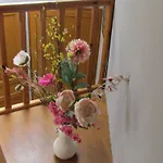 Proche Le Touquet : 7 Chambres, Jardin Clos, Jeux D’enfants, Animaux Acceptés - Fr-1-376-94 *
