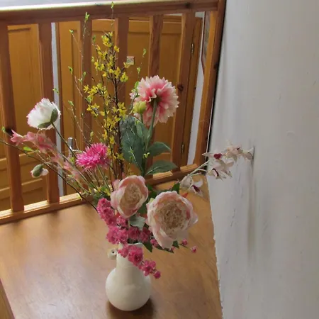 Proche Le Touquet : 7 Chambres, Jardin Clos, Jeux D'enfants, Animaux Acceptes - Fr-1-376-94 *